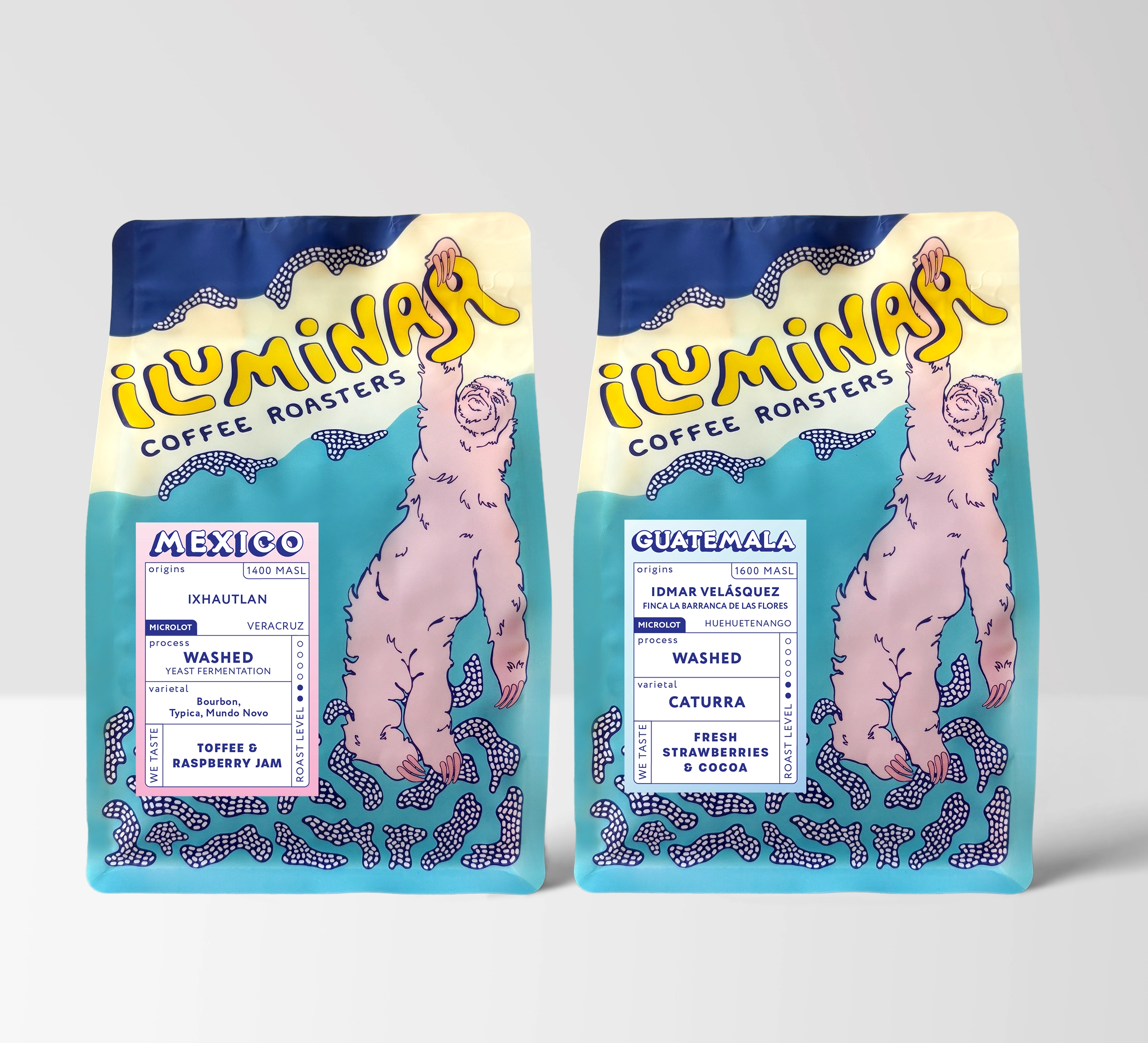 Back of bag showing brewing instructions and sourcing info